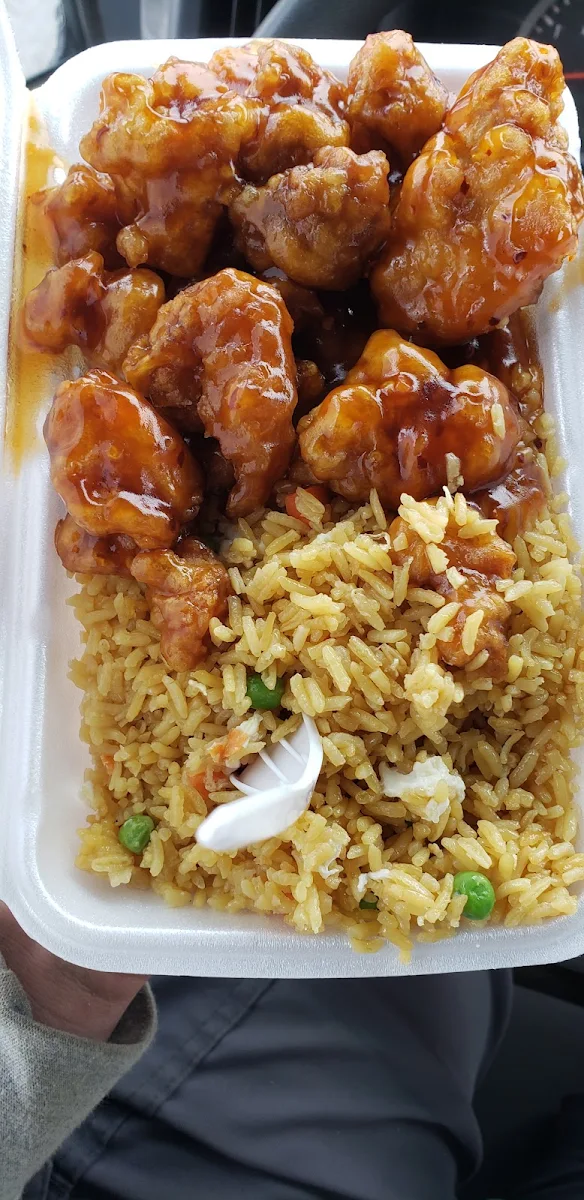 General TSO's Chicken