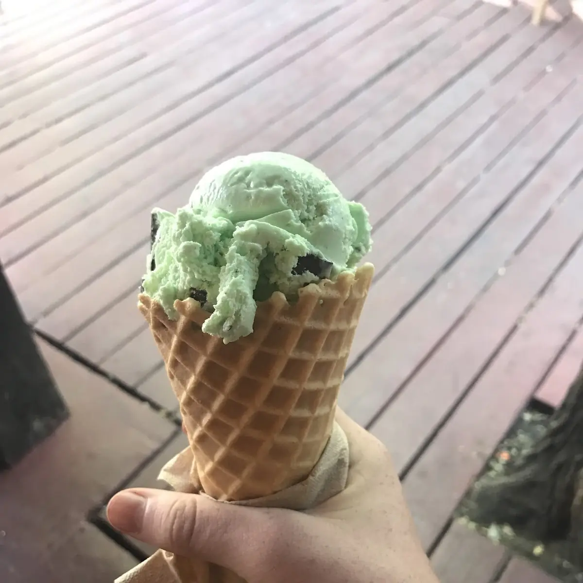 Chocolate Chip-Mint