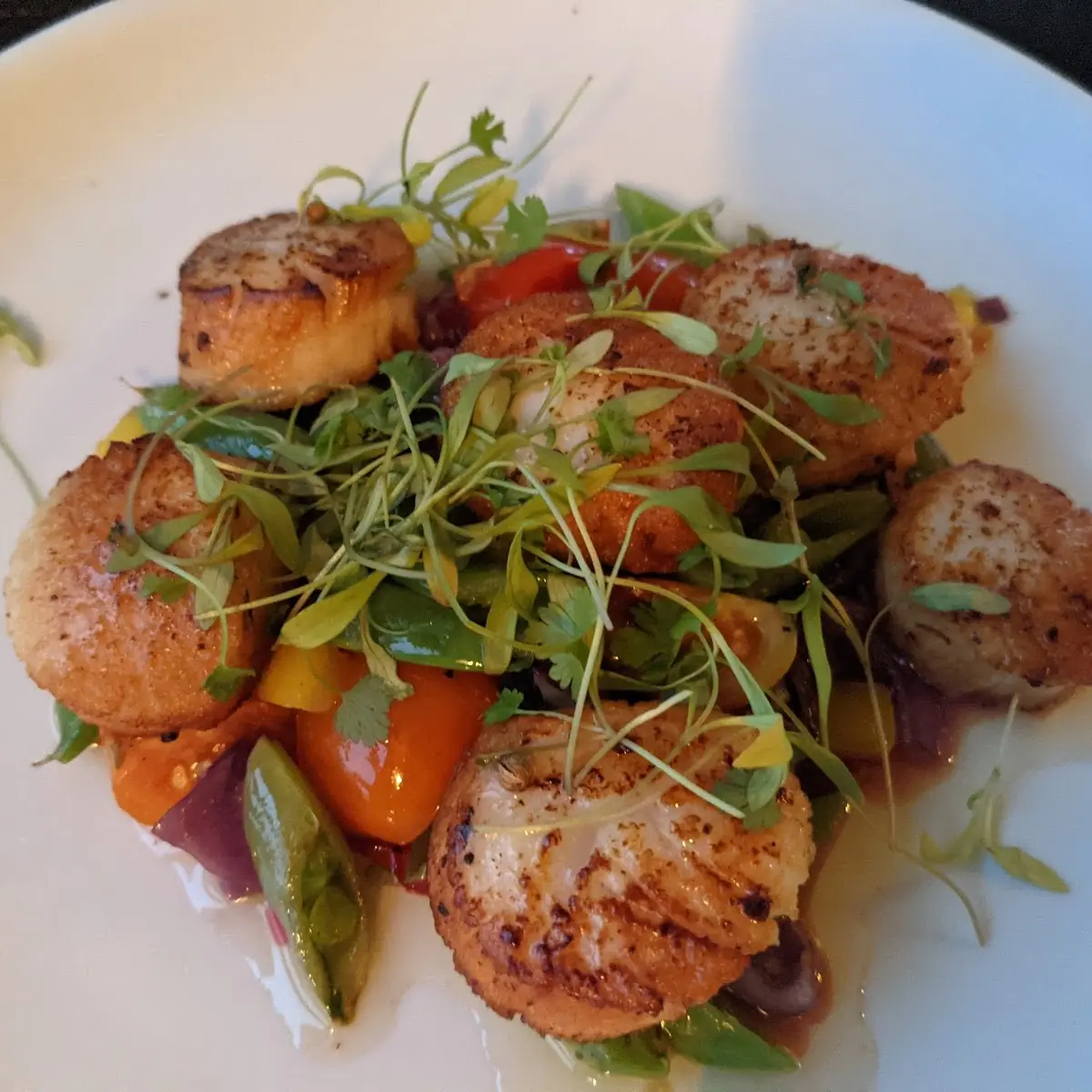 Sea Scallops