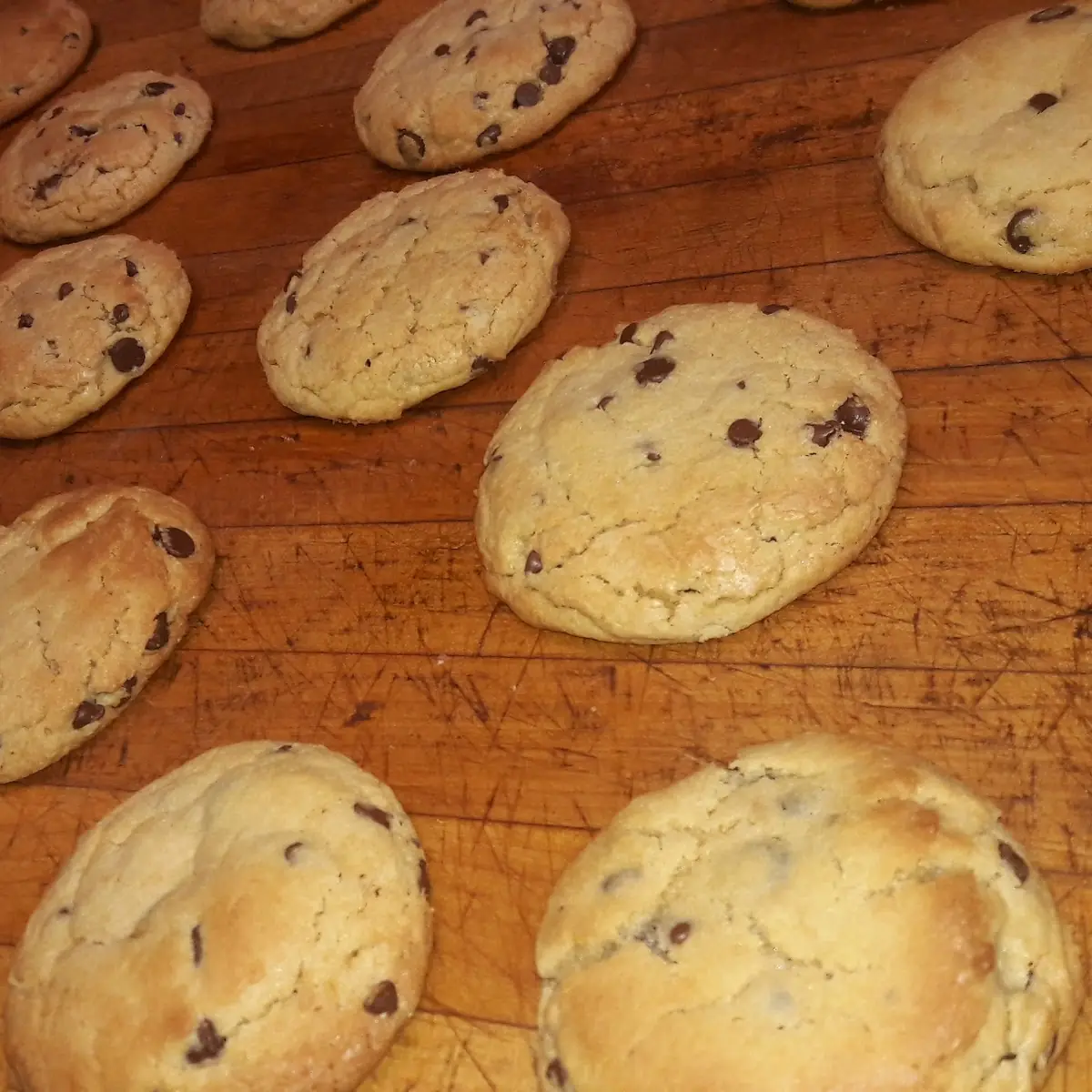Home Made Chocolate Chip Cookie