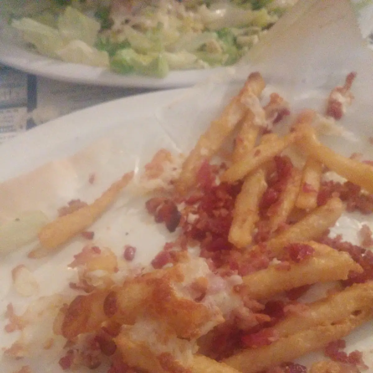 Loaded Bacon Cheese Fries