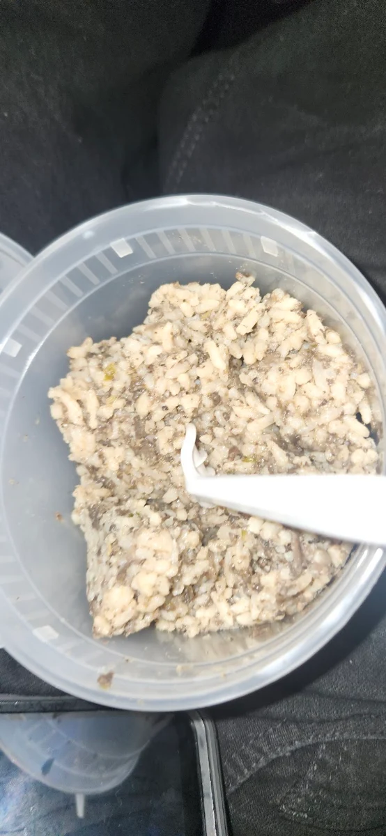 Oatmeal Raisin