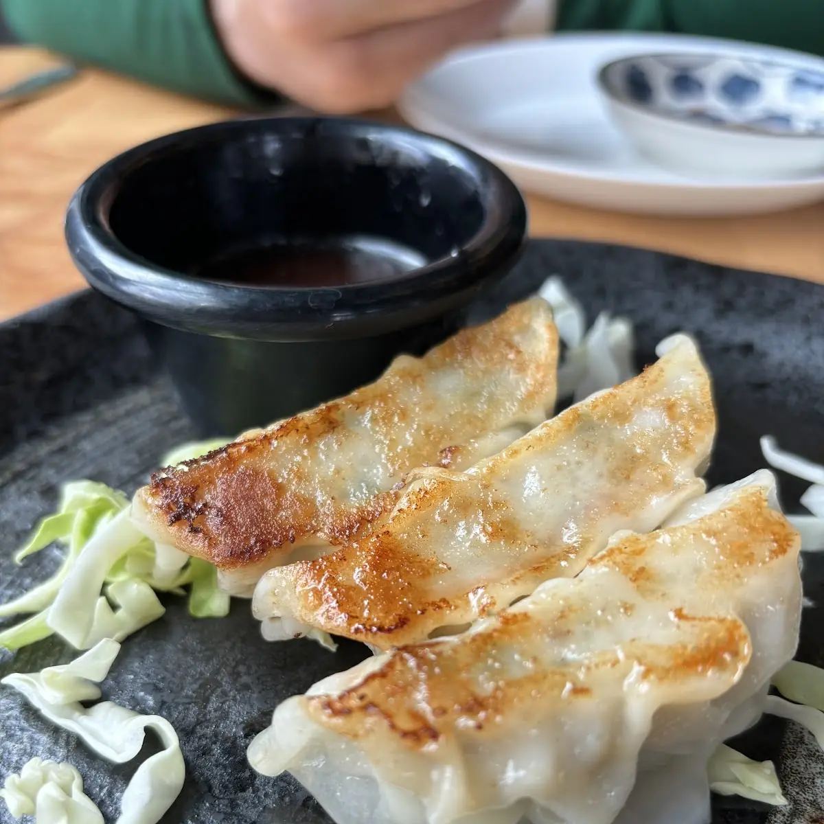 Fried Gyoza