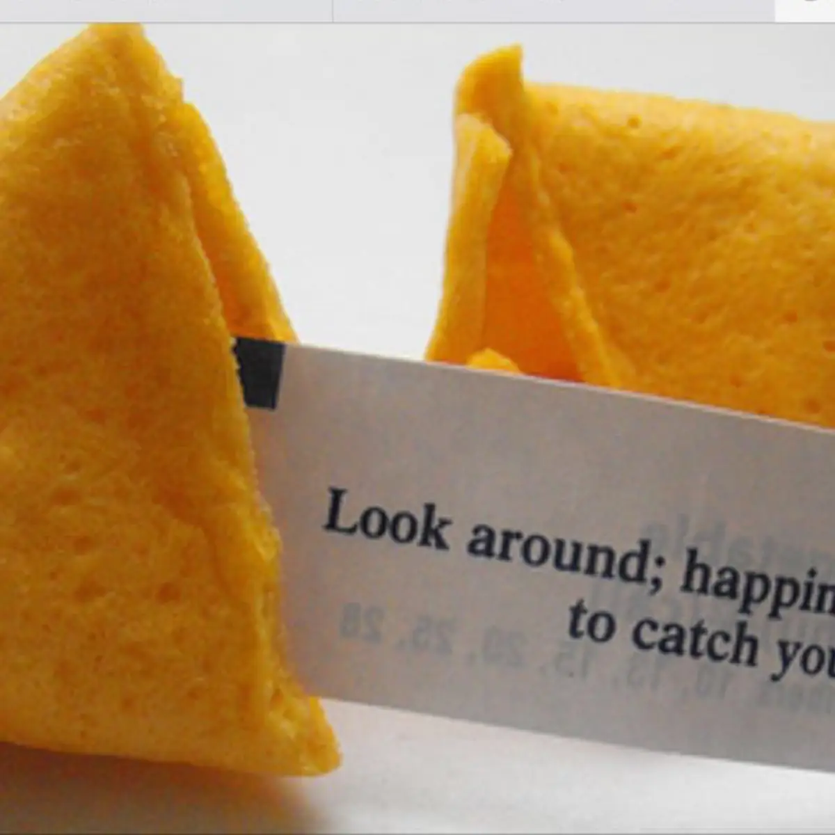 Four Fortune Cookie