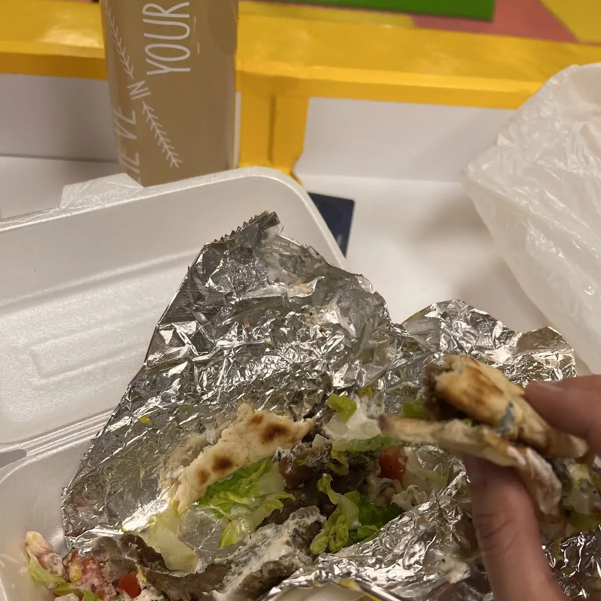 Gyro Sandwich