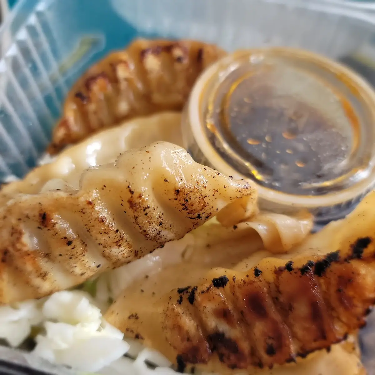 Gyoza