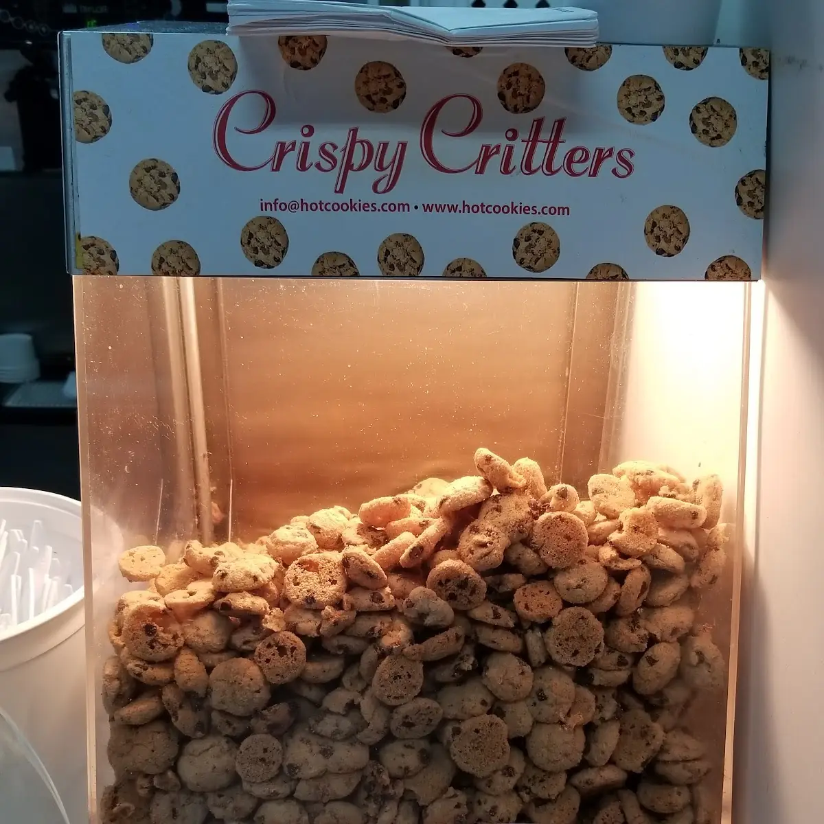 Fresh Made Mini Chocolate Chip Cookies
