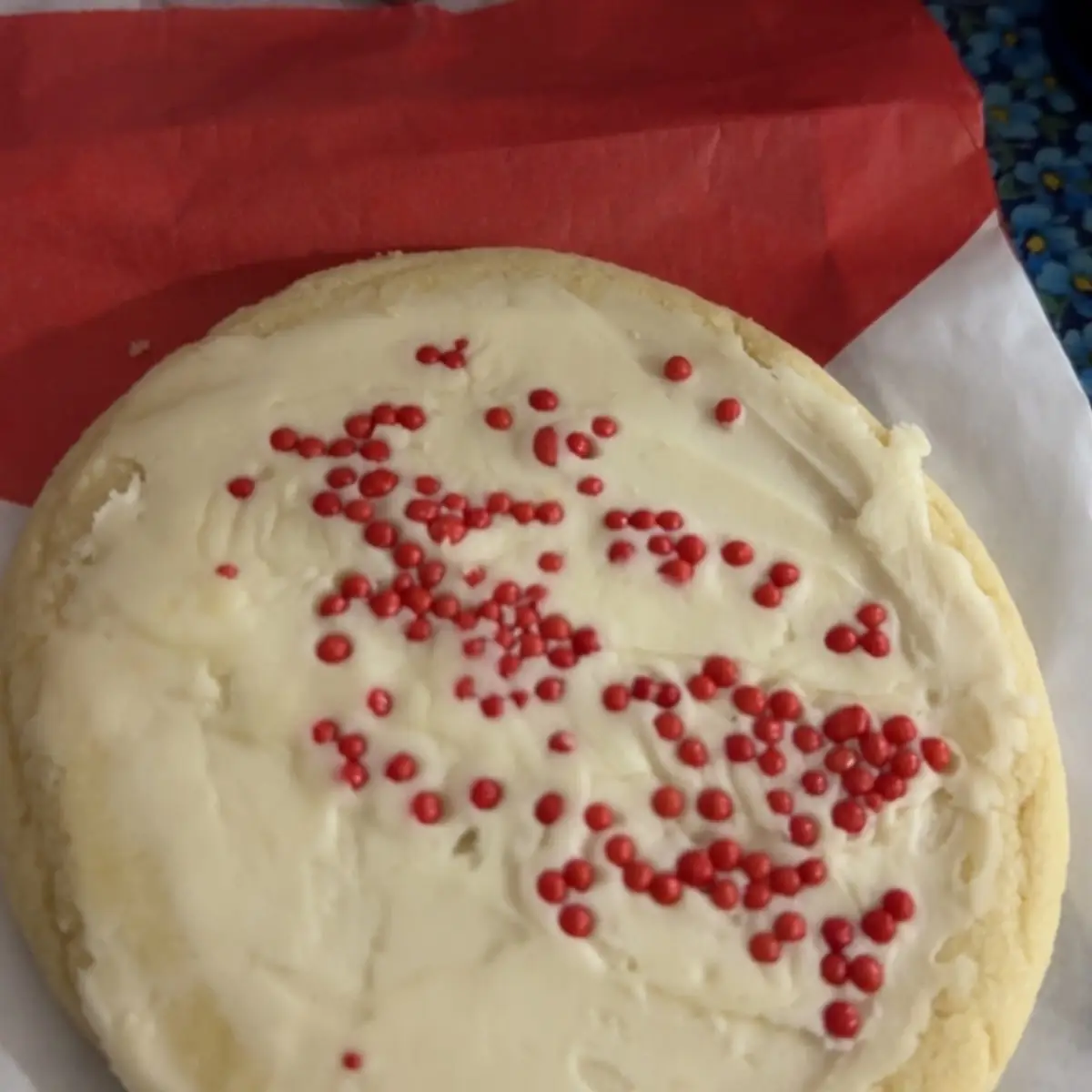 Frosted Sugar Cookie