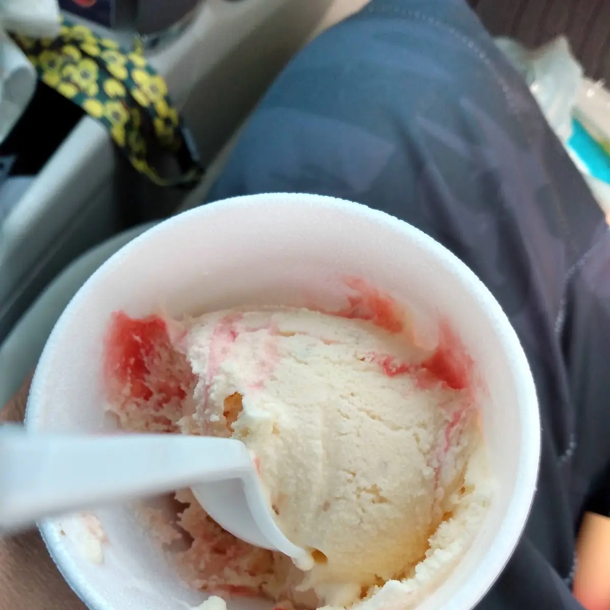 Cheese Cake Ice Cream