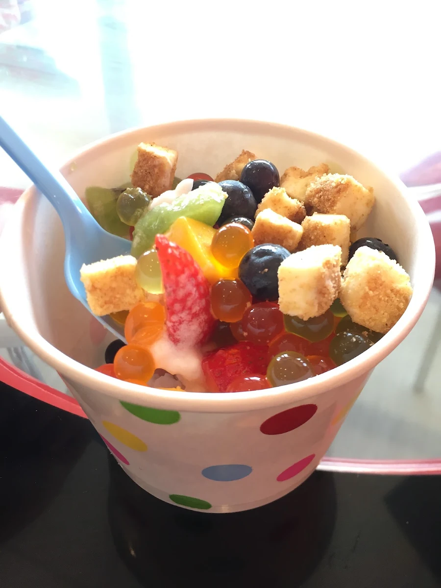 Frozen Yogurt