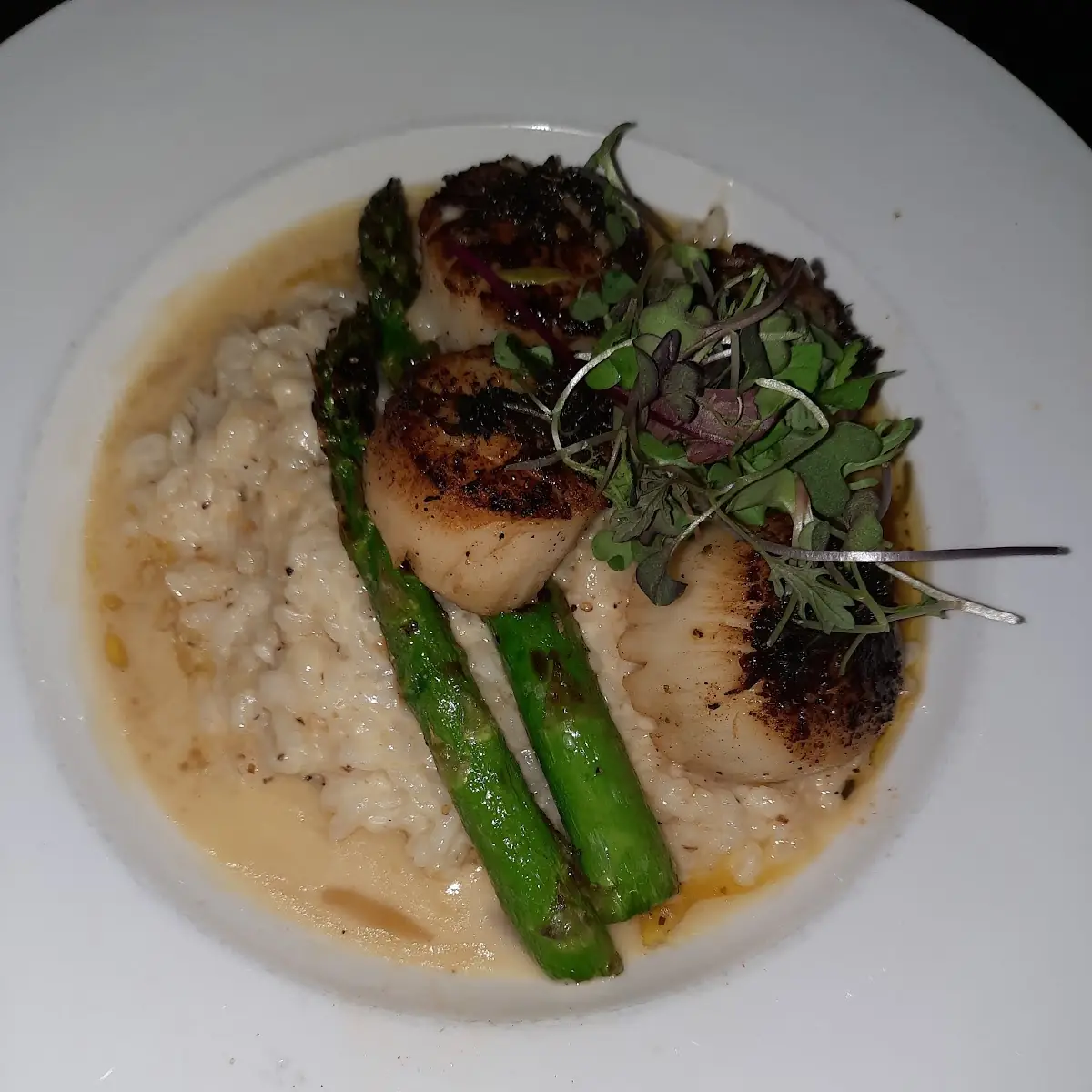 Pan Seared Scallops
