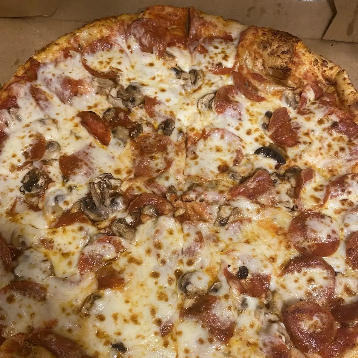 Meat Pizza