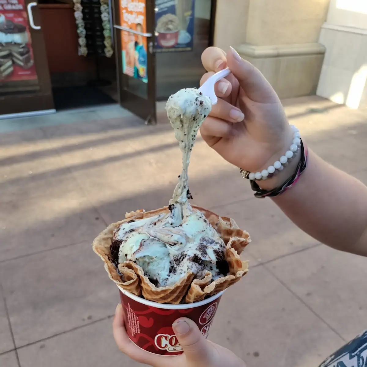 Mint Mint Chocolate Chocolate Chip