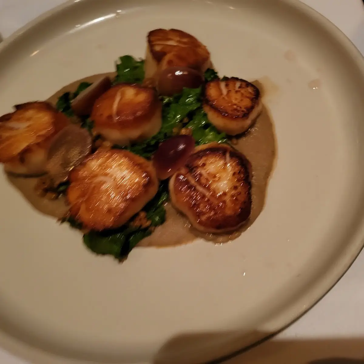 Dayboat NJ Sea Scallops
