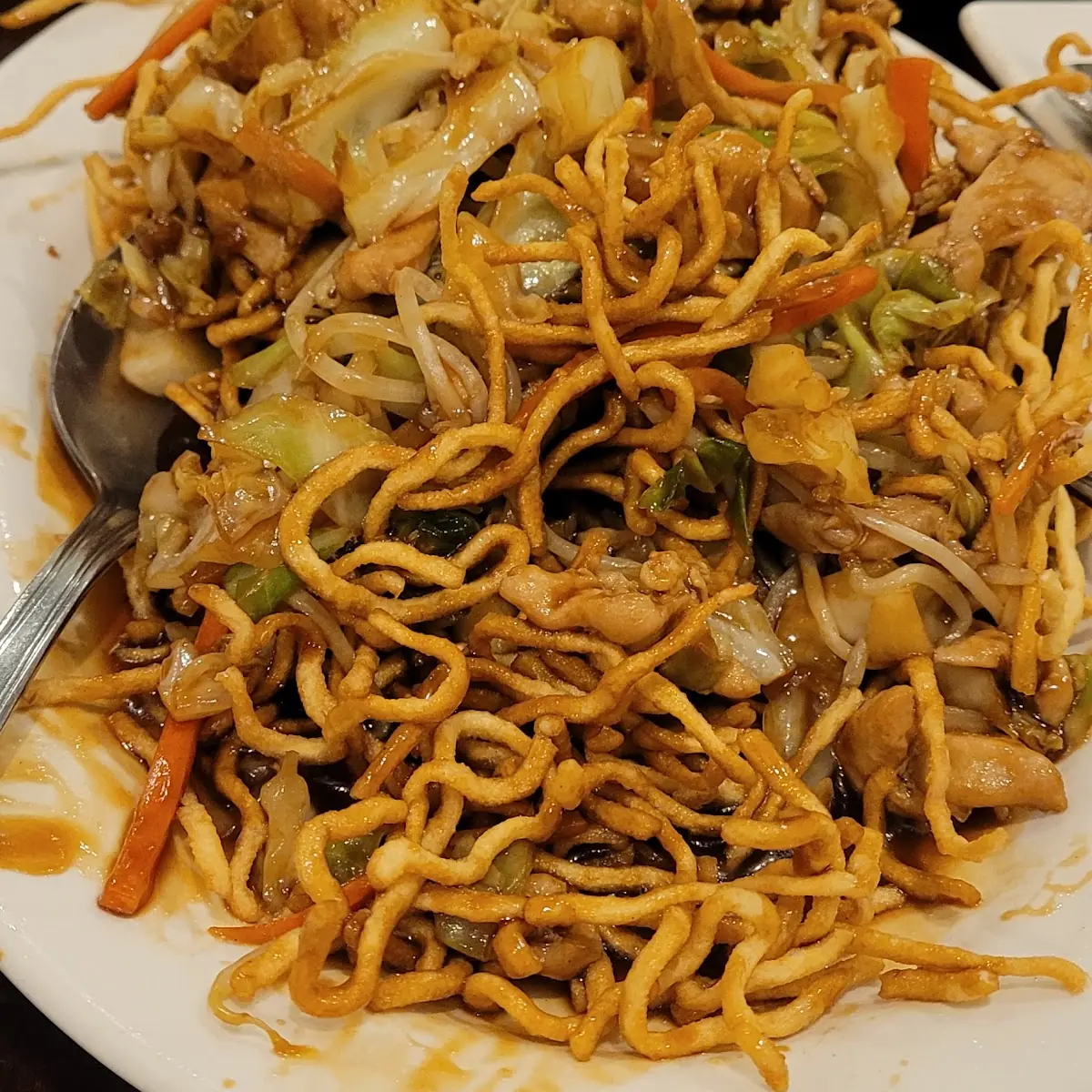 Chicken Chow Mein Crispy Noodle