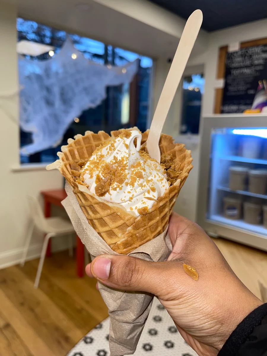Waffle Cone
