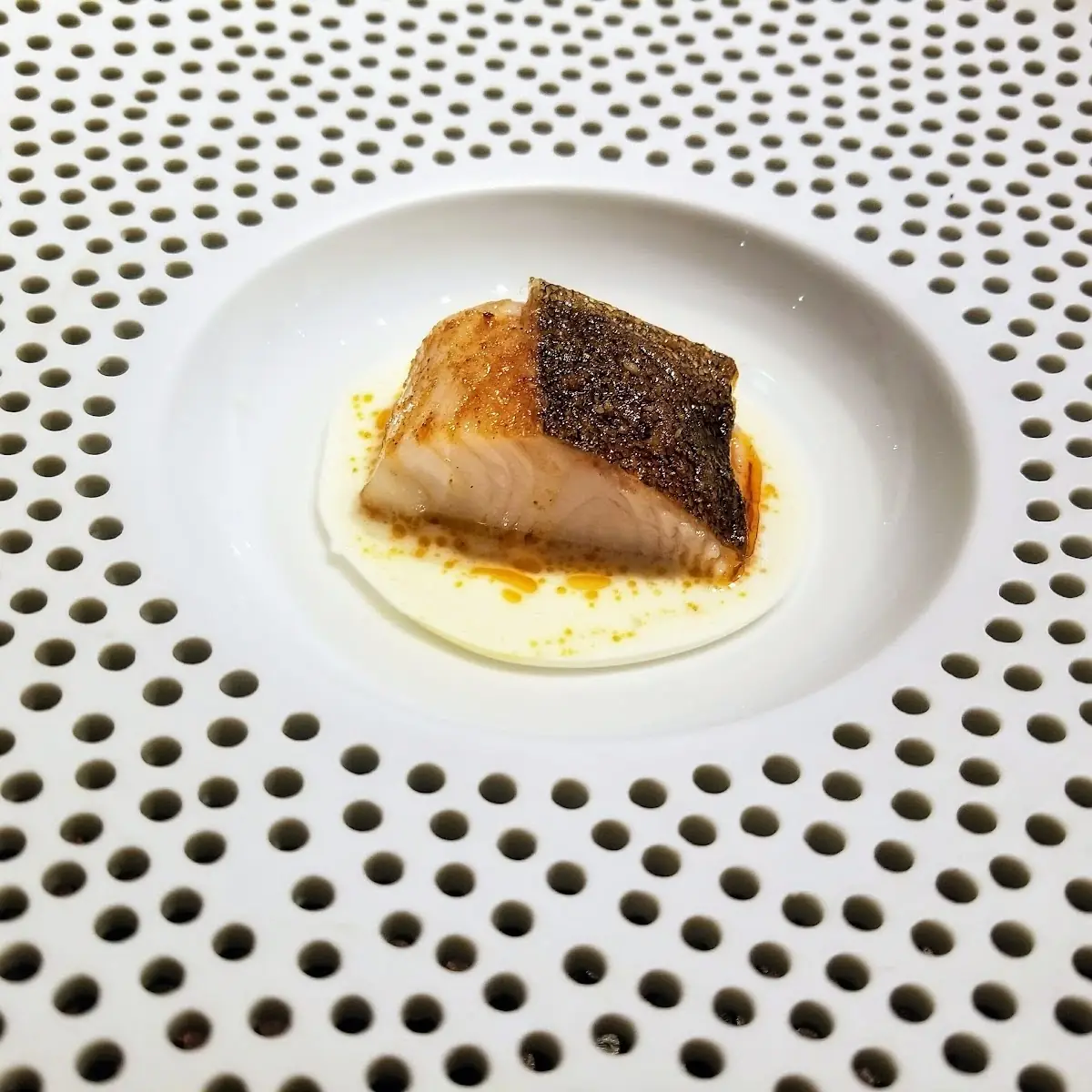 Black Cod