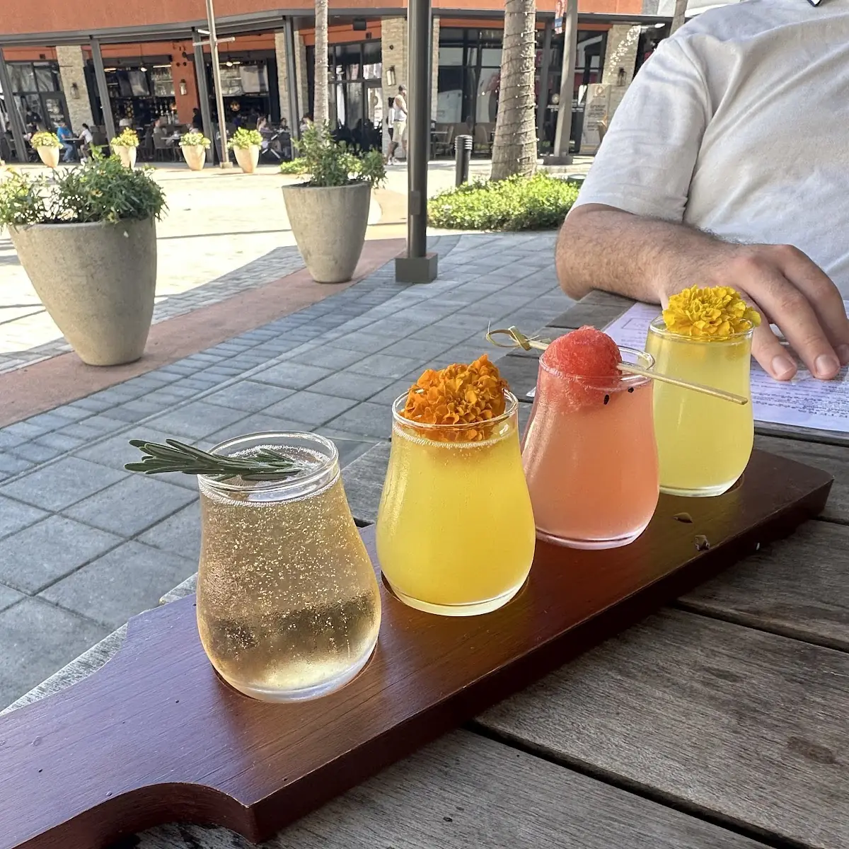 Mimosa Flight