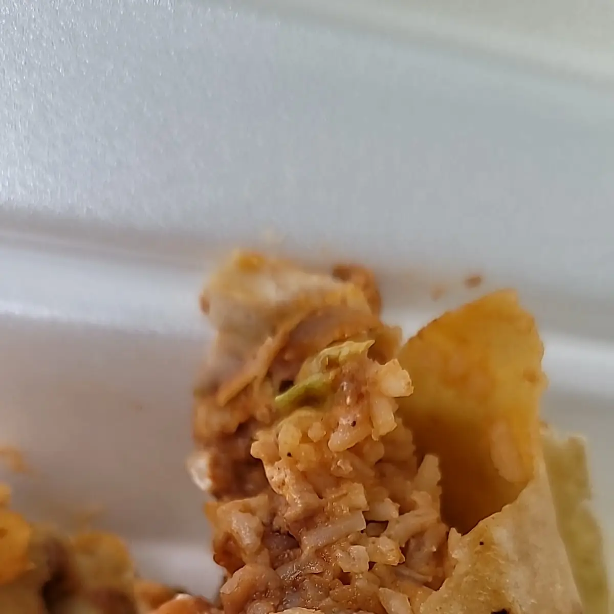 Chicken Burrito