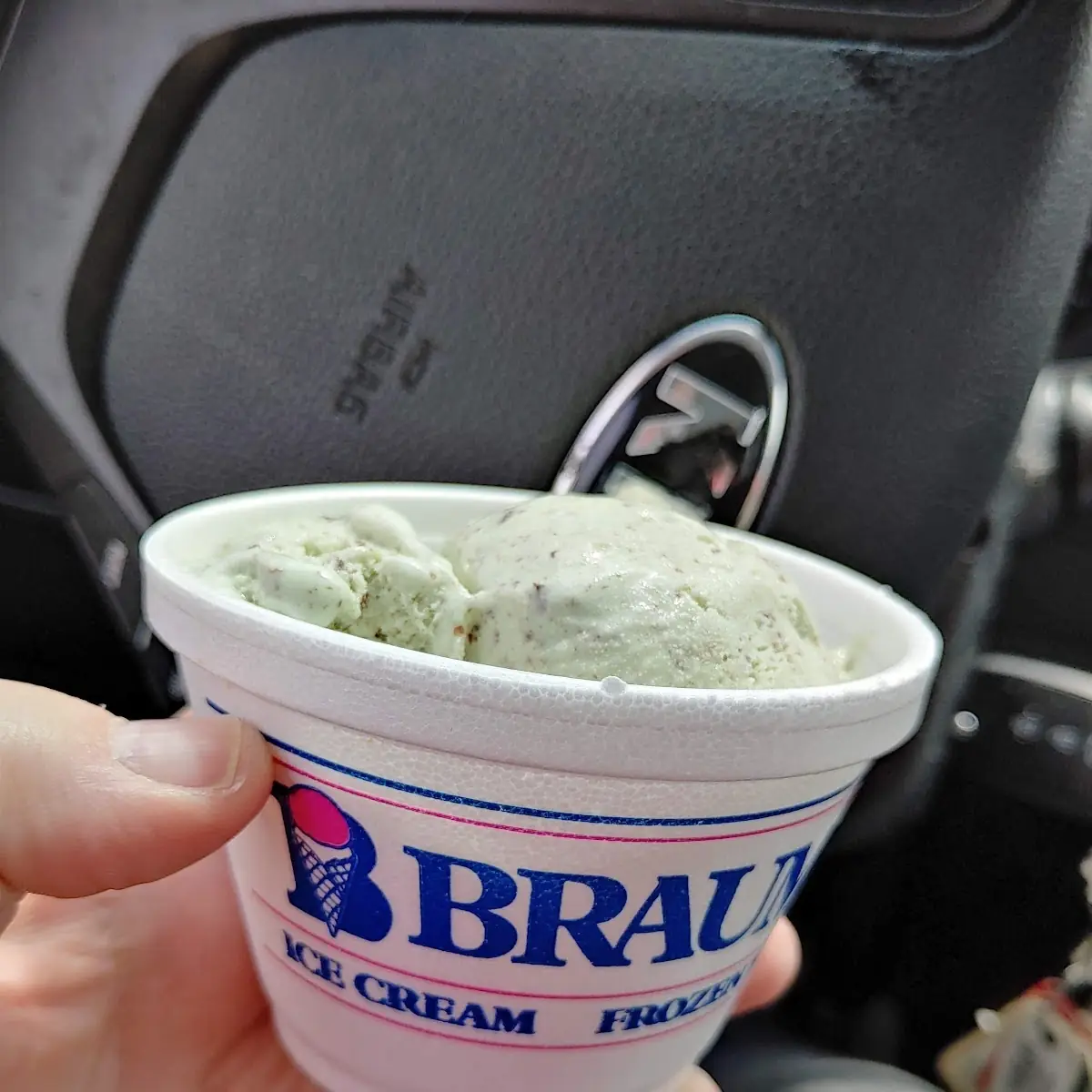 Mint Chocolate Chip Ice Cream Cup