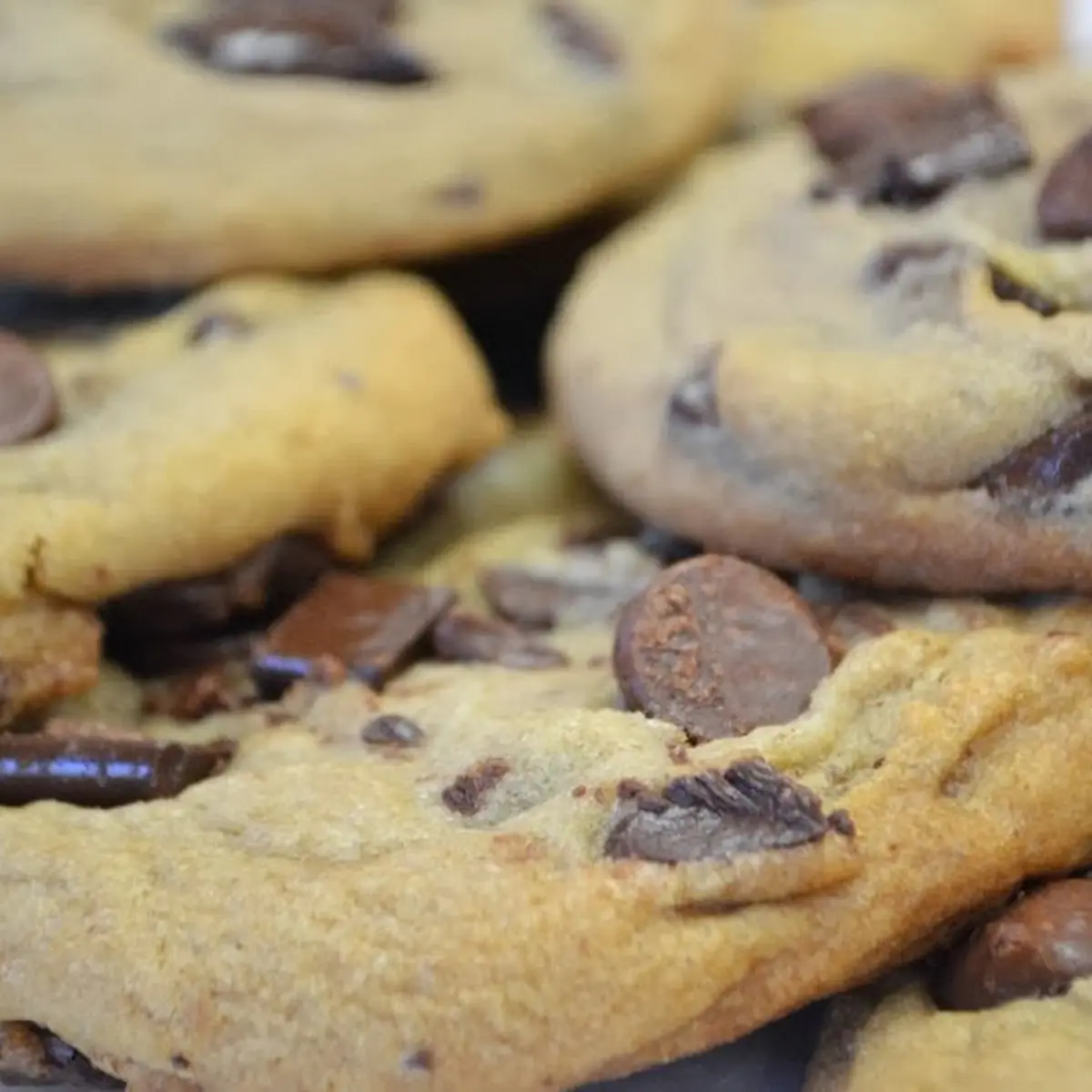 Fresh Baked Chocolate Chip Cookies