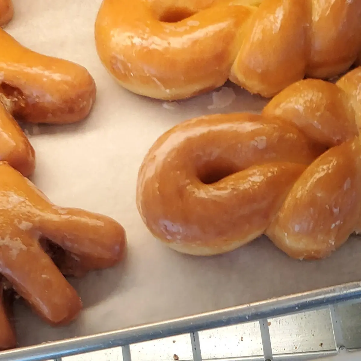 Bear Claw