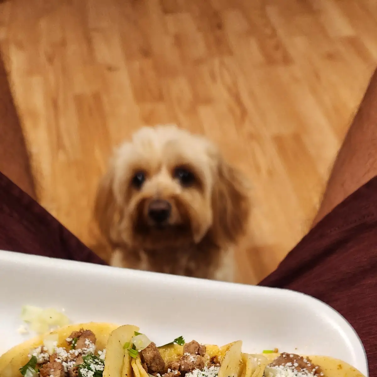 Street Tacos De Asada