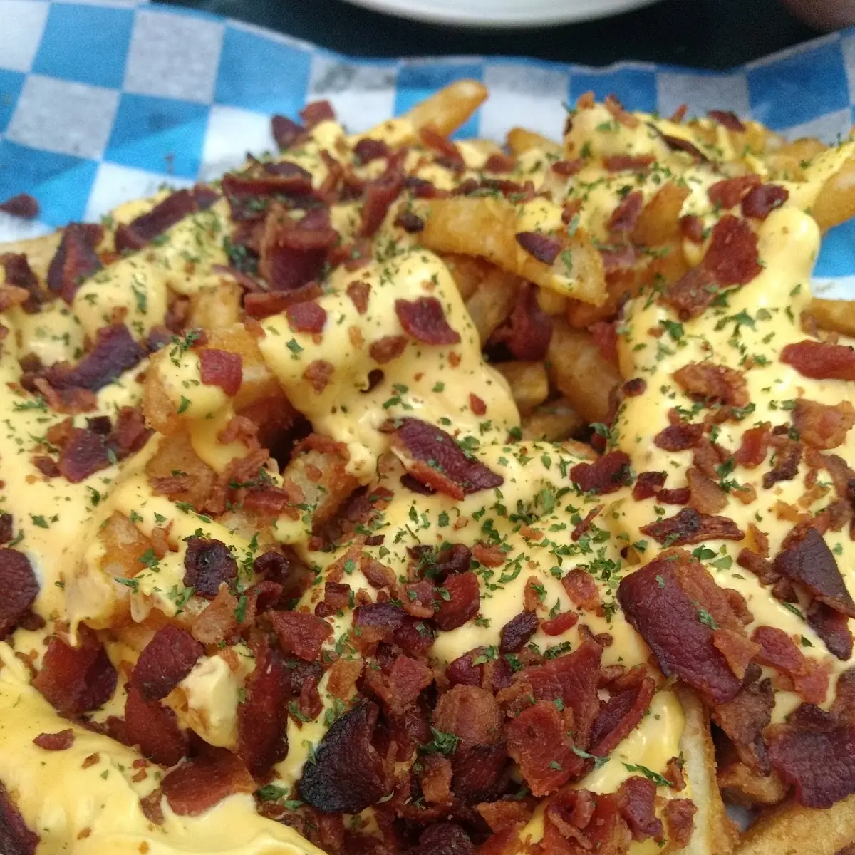 Loaded Fries