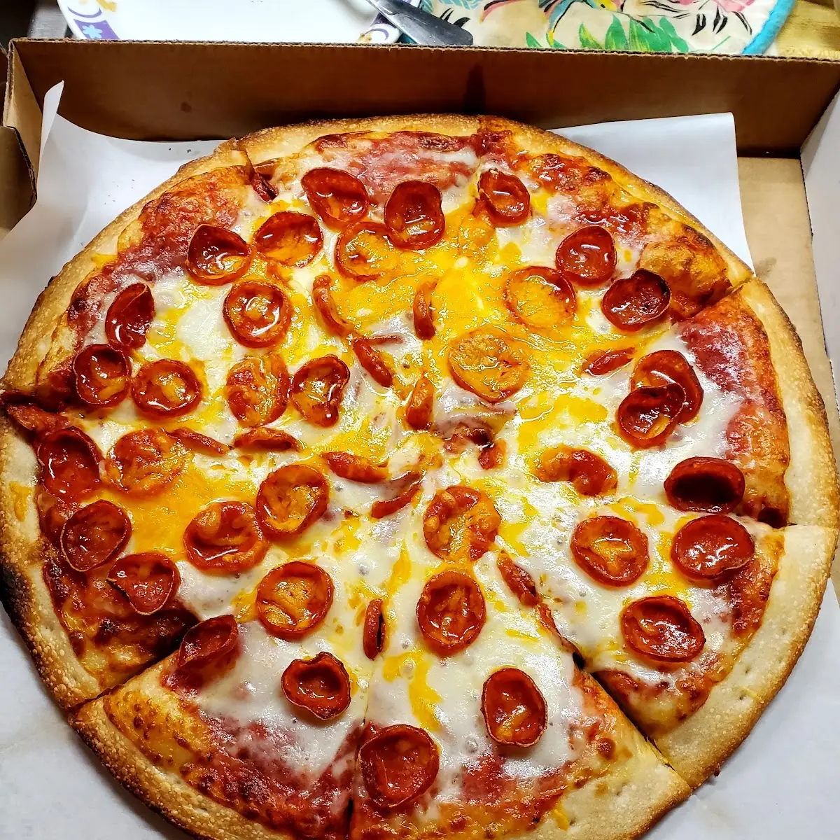 Cheddar Cheese and Pepperoni Pizza