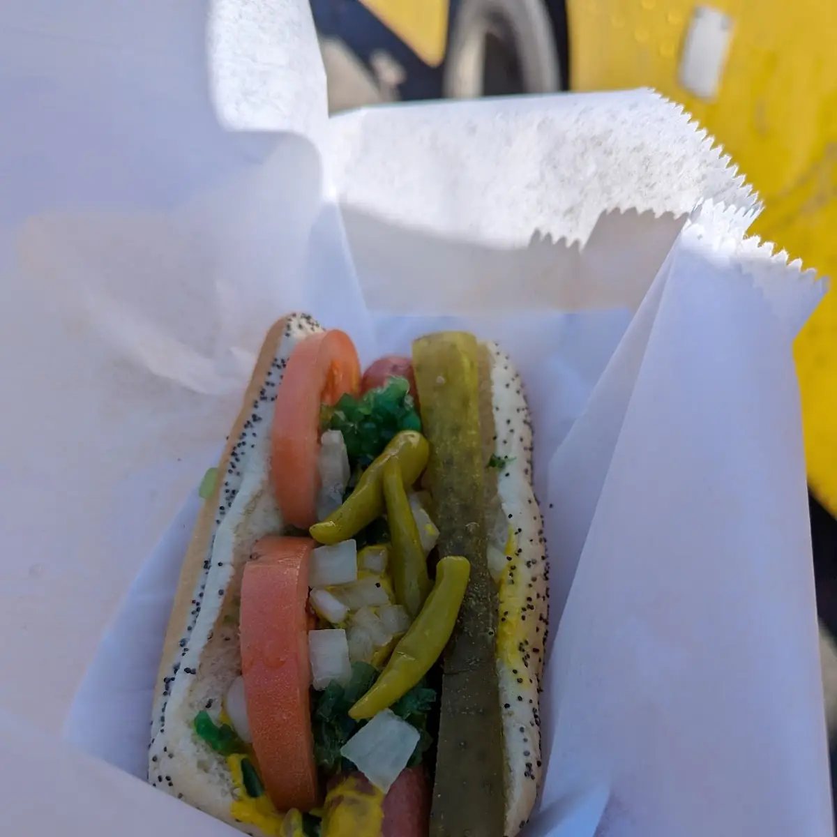 Chicago-Style Hot Dog