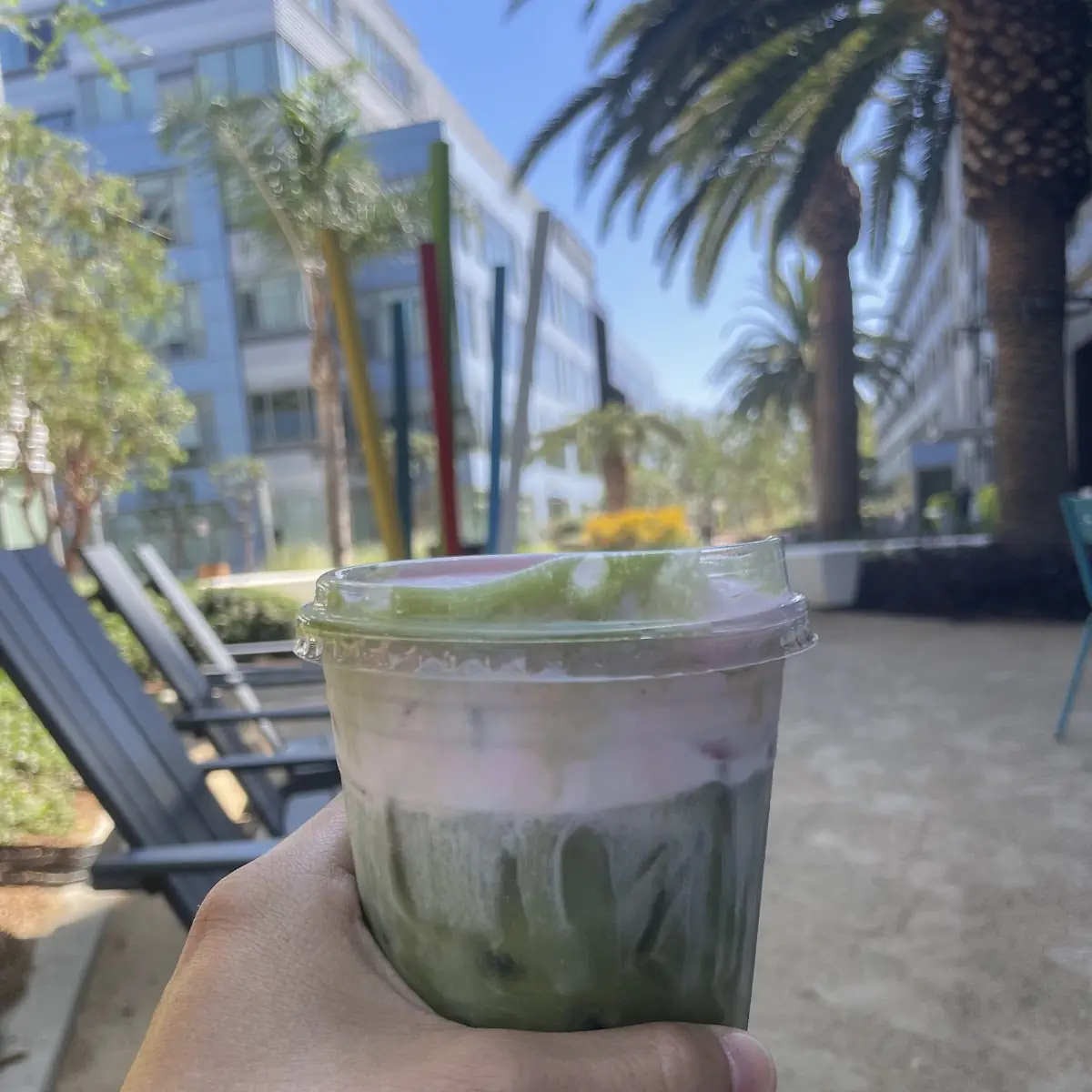 Iced Matcha Latte