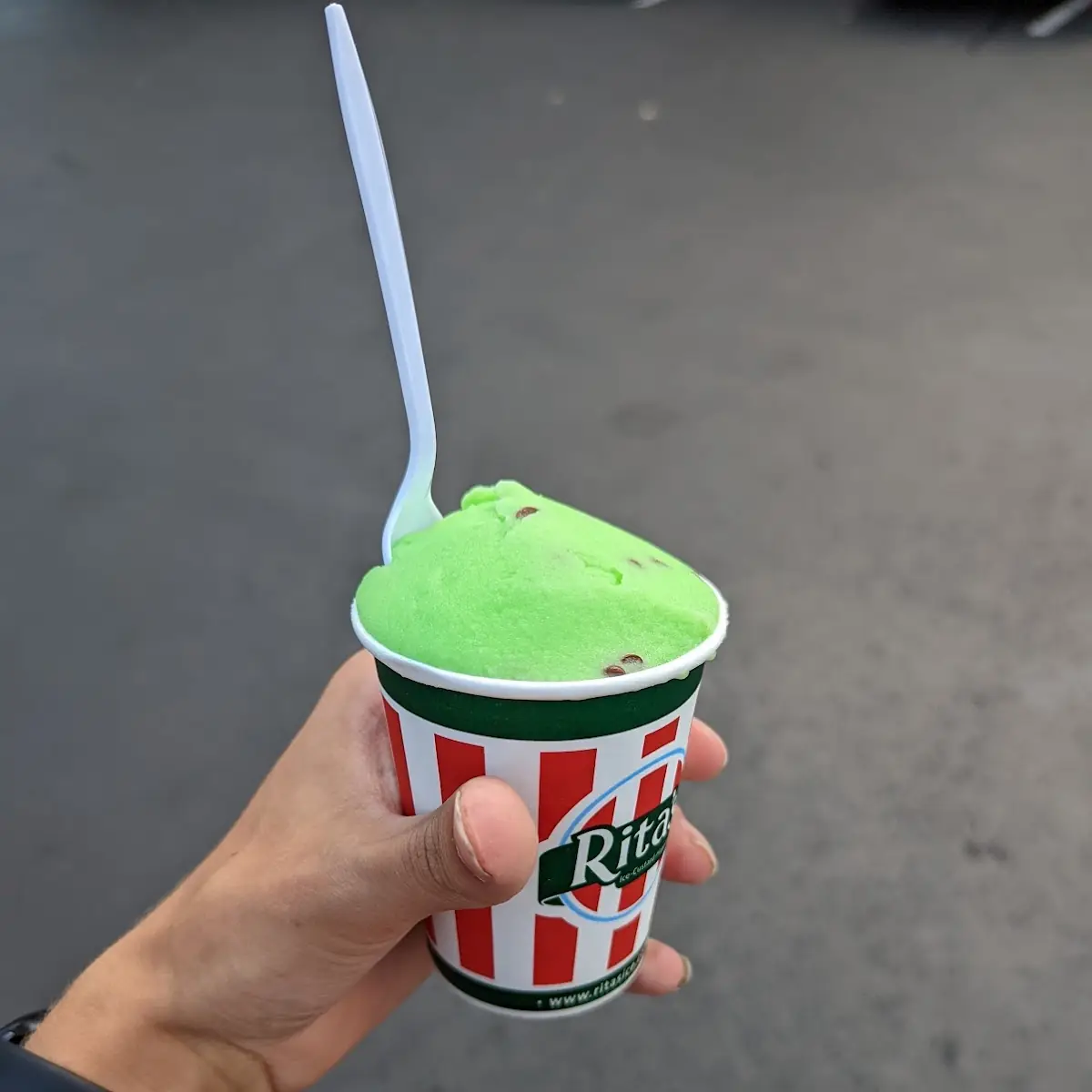 Mint Chocolate Chip Cream Ice