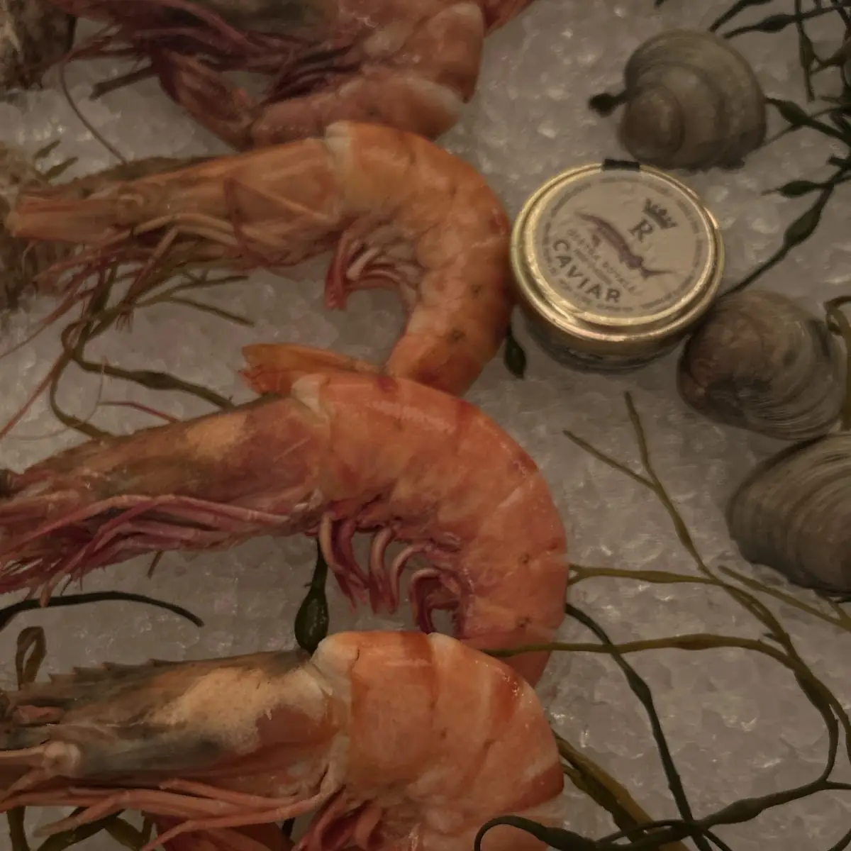 Jumbo Shrimp