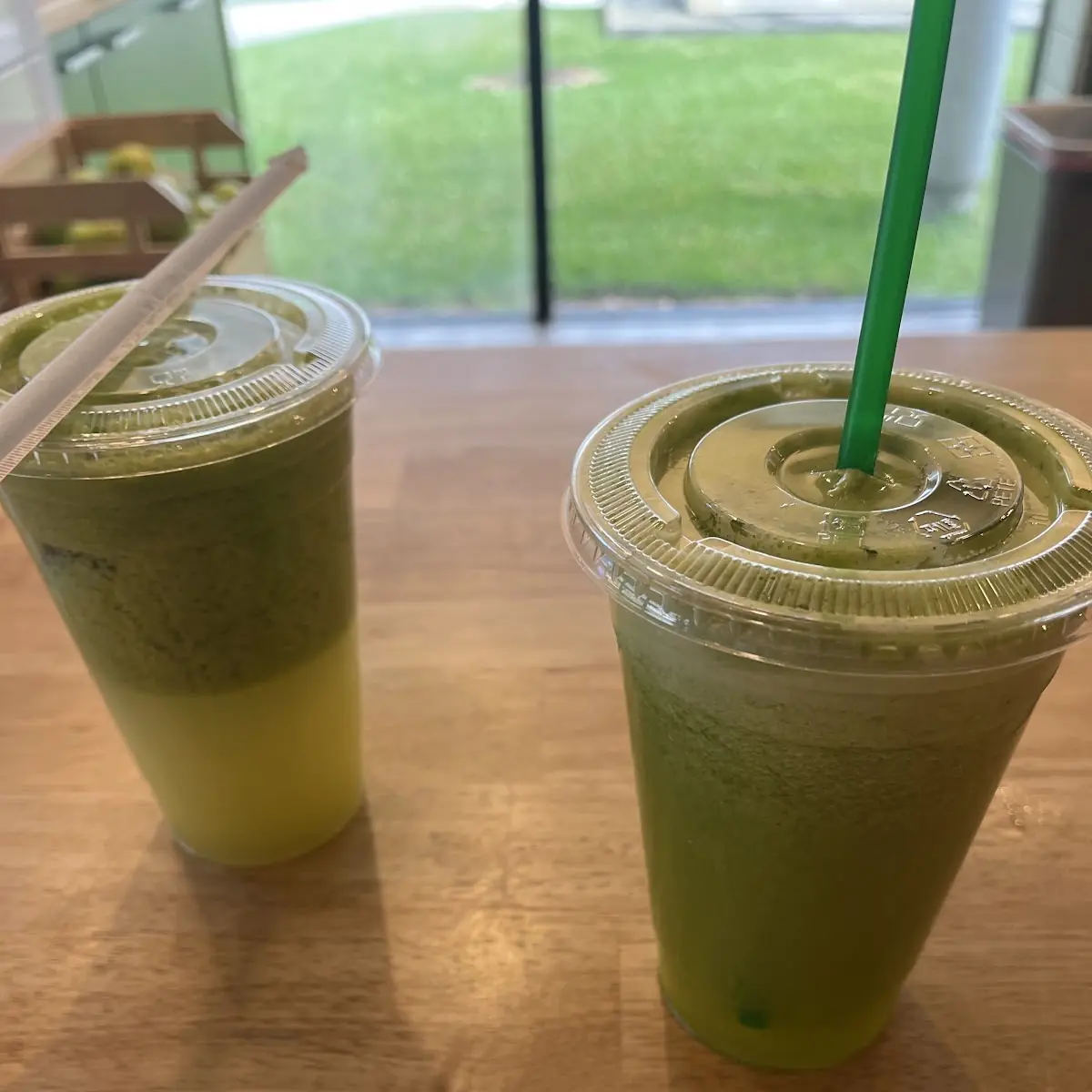 Iced Matcha Latte