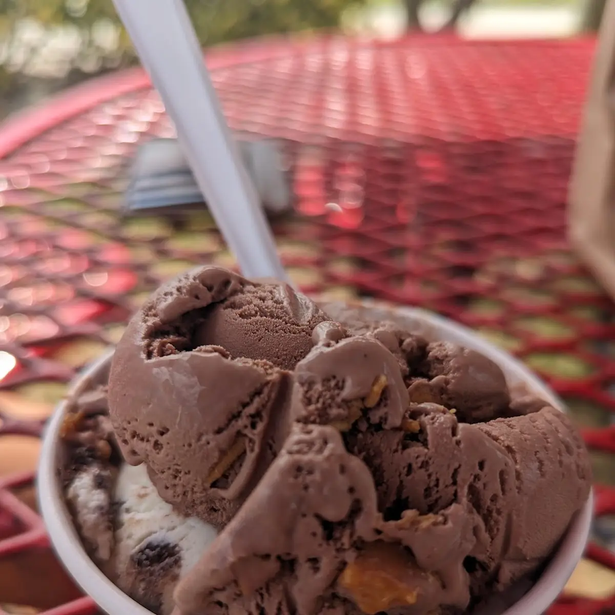 Cayenne Vanilla Chocolate Chip