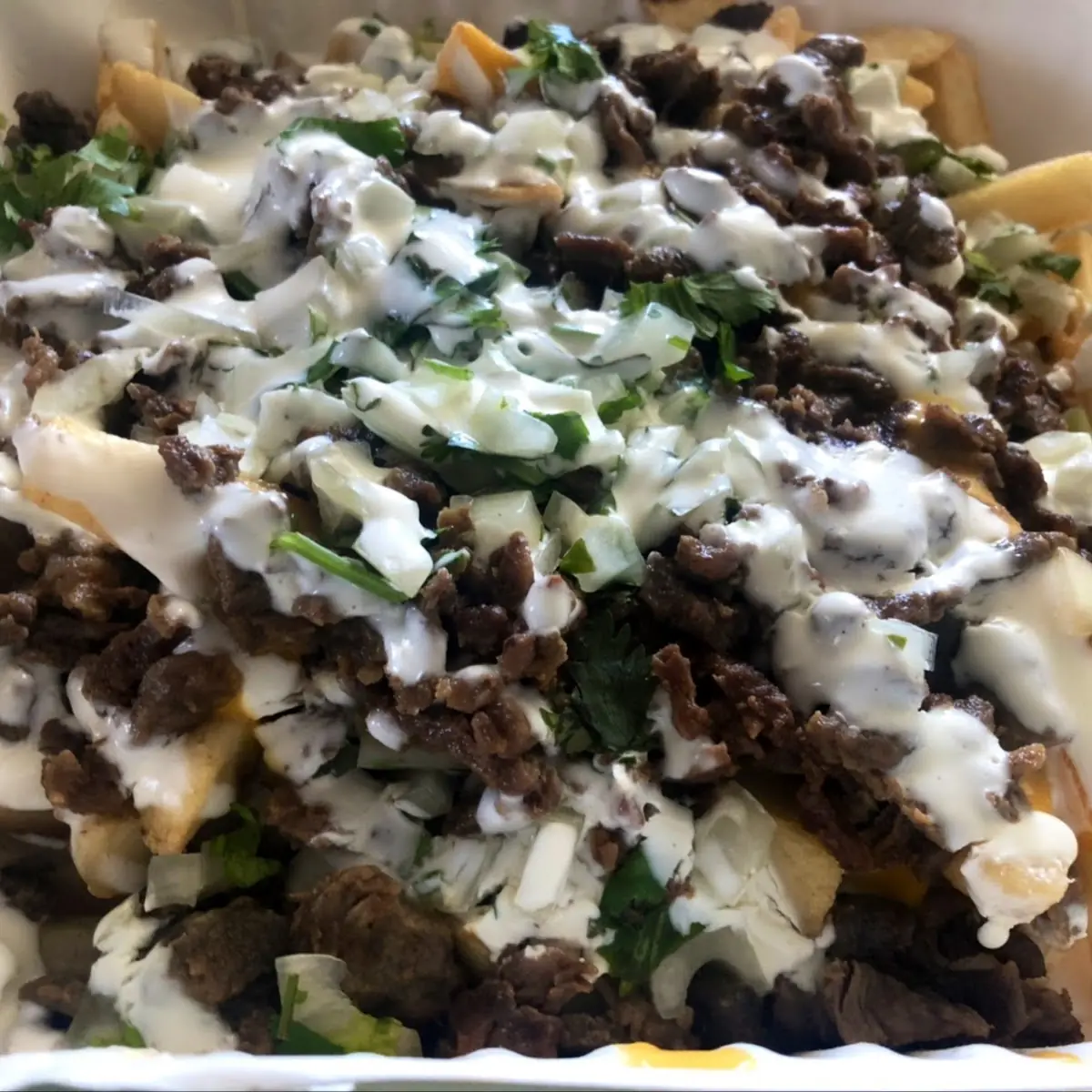 Carne Asada Fries