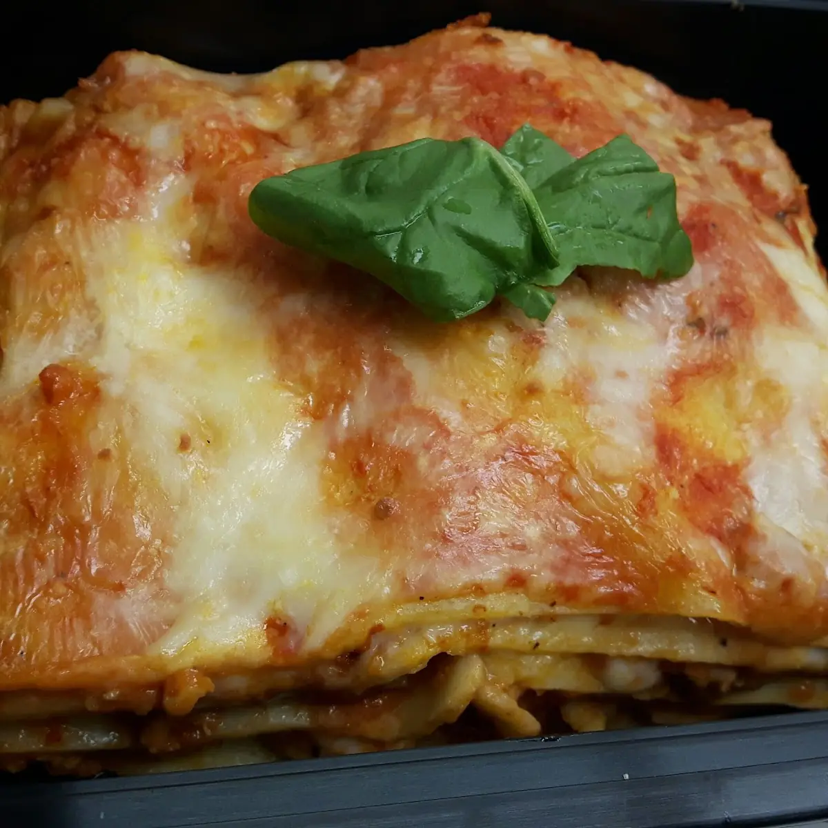 Lasagna