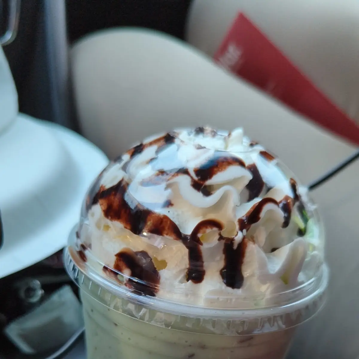 Mint Chocolate Chip Cream Freeze