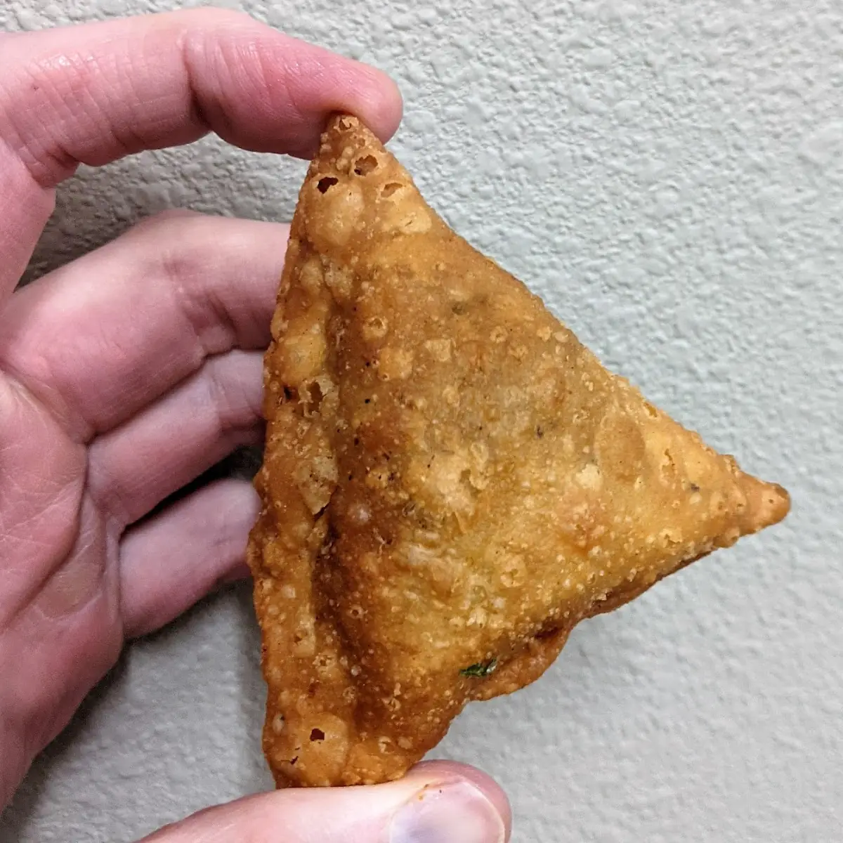 Vegetable Samosa