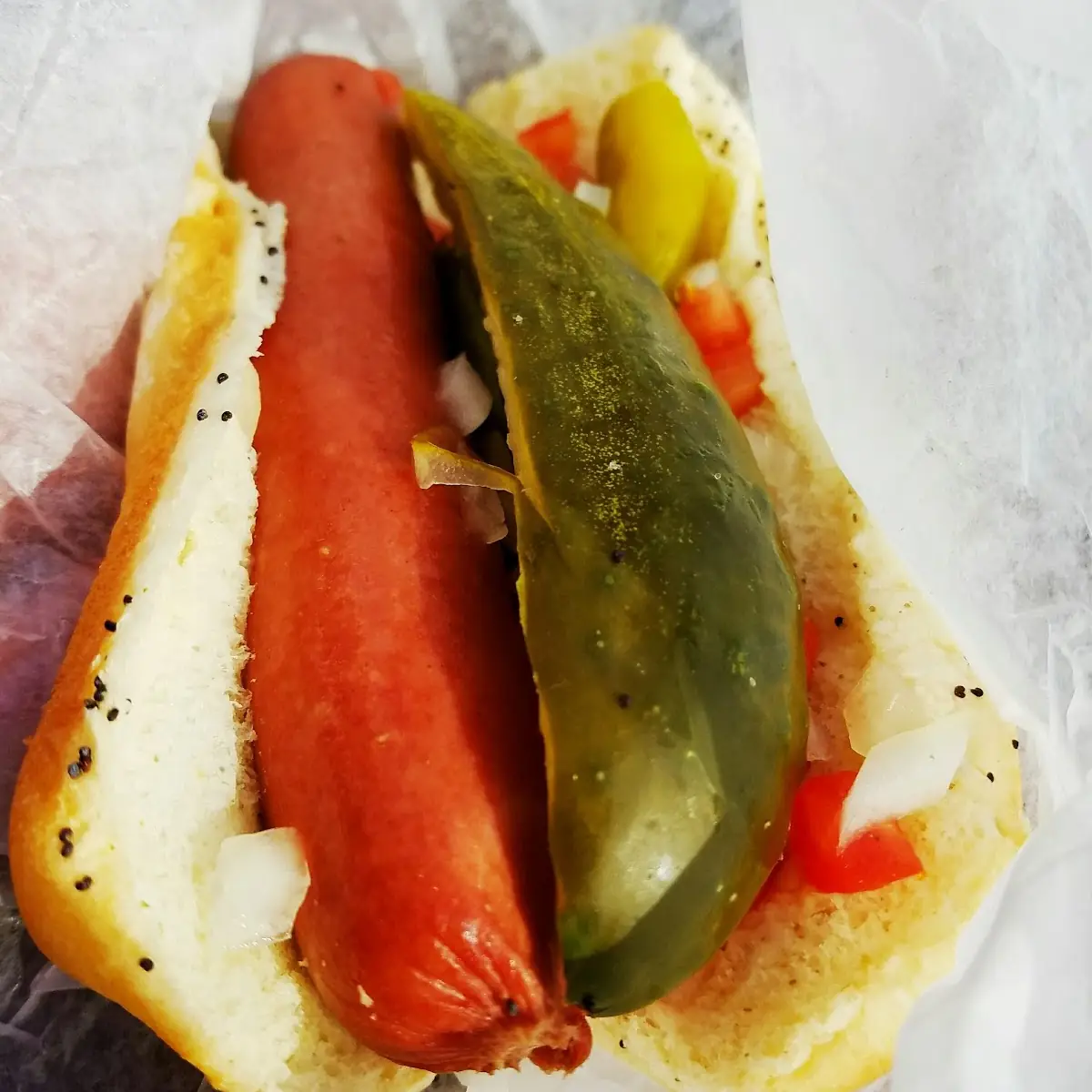 Chicago Style Hot Dog