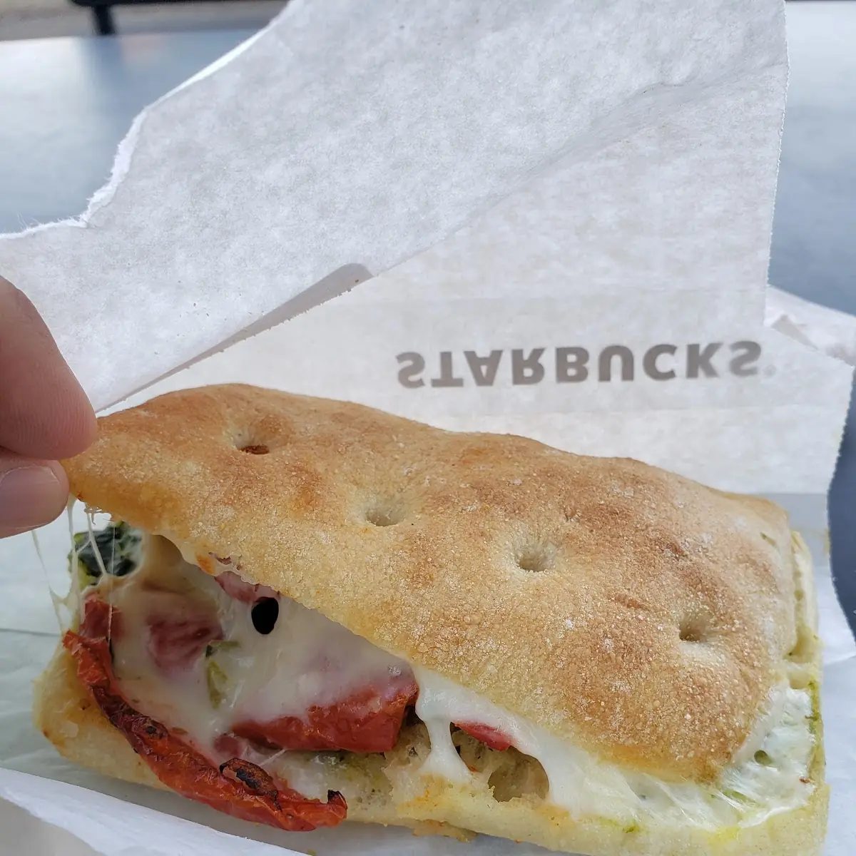 Tomato Mozzarella Panini