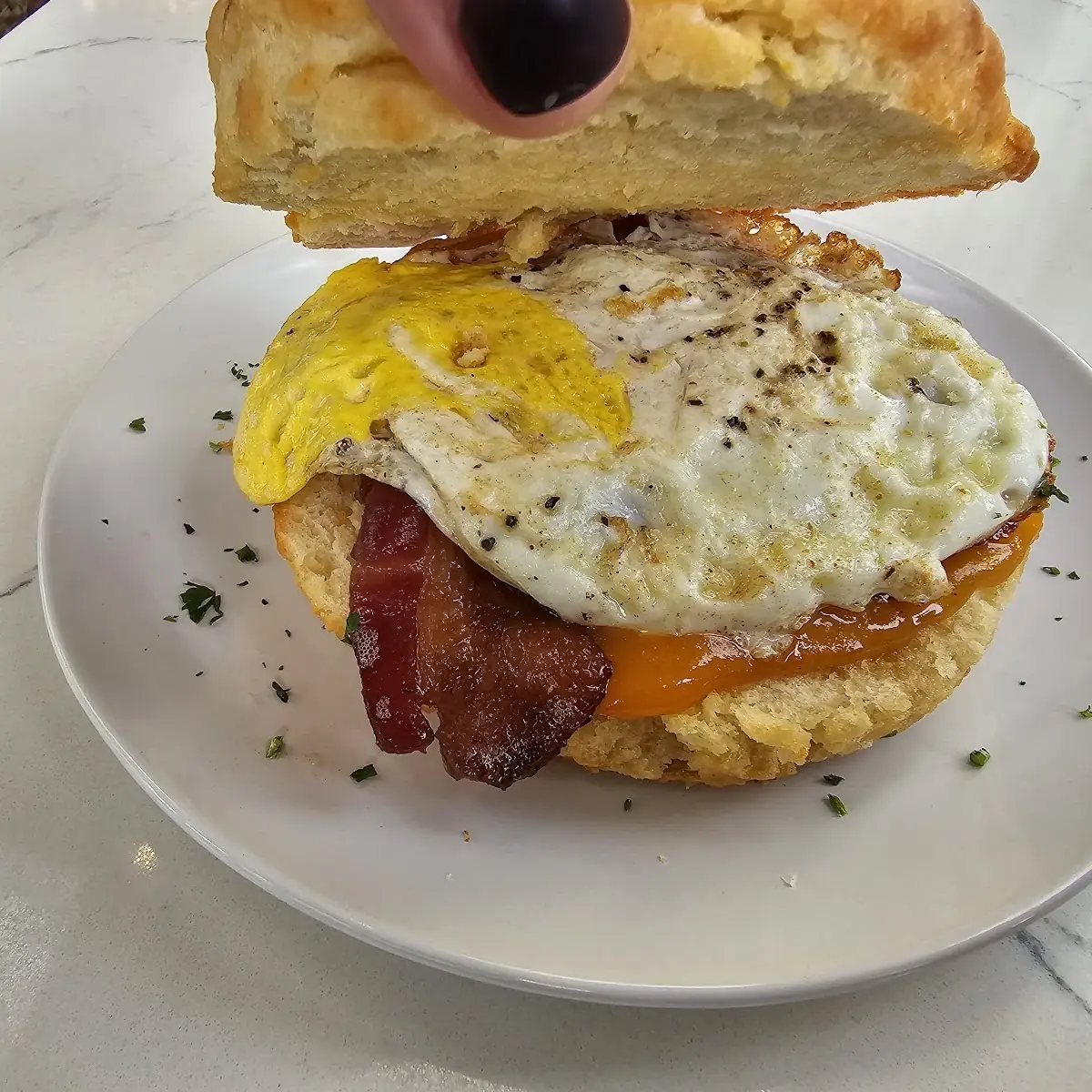 Breakfast Sandwich