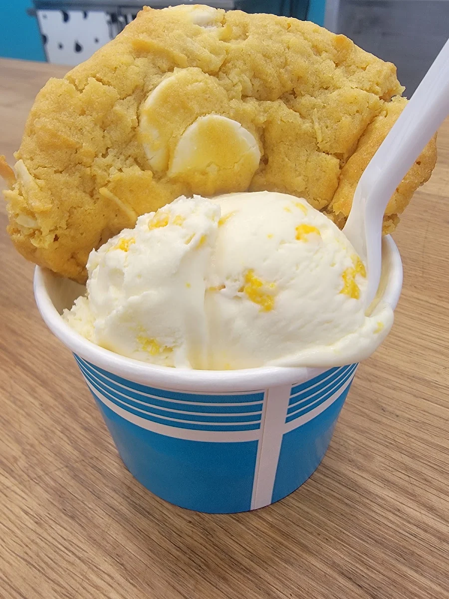 Mango Ice Cream