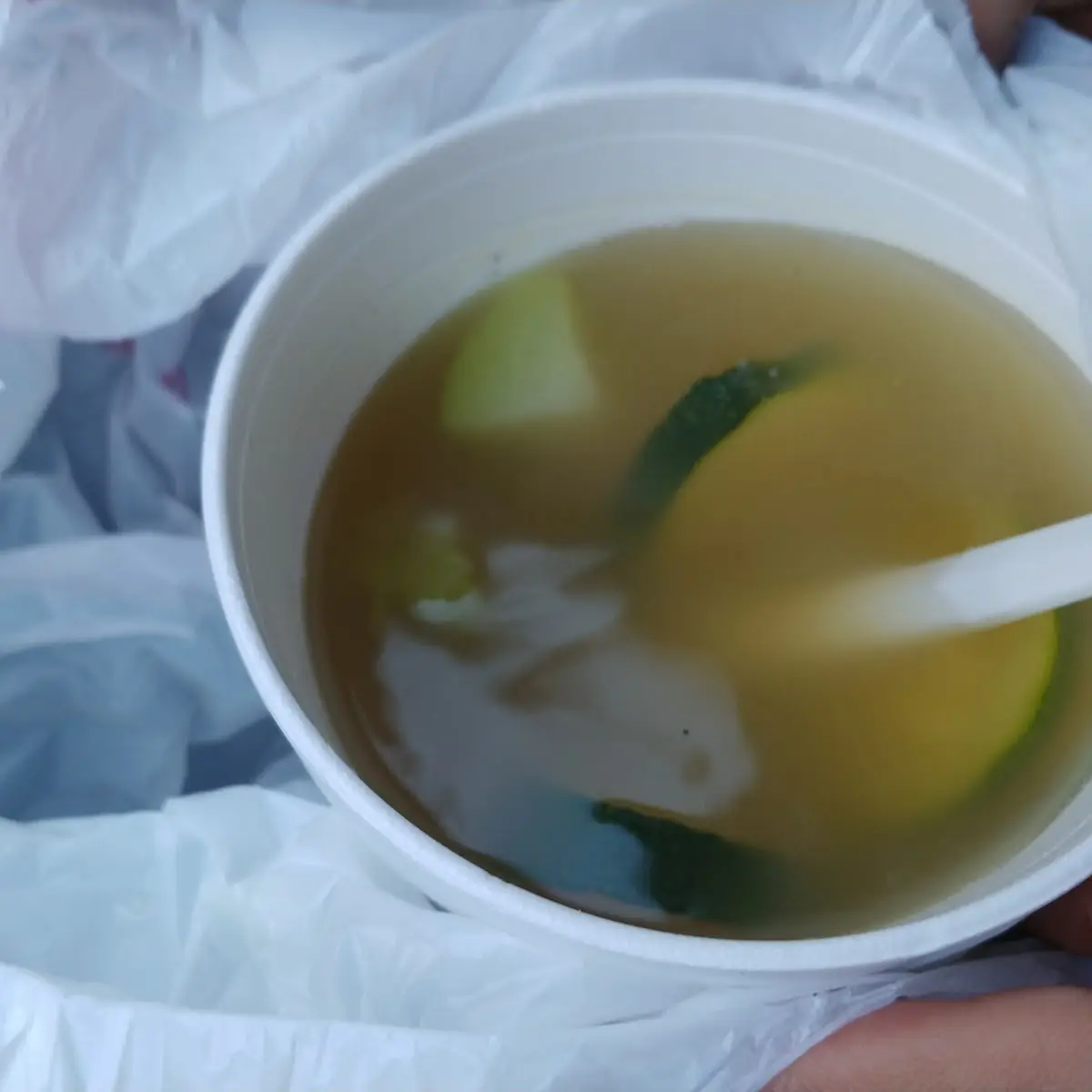 Wonton Soup