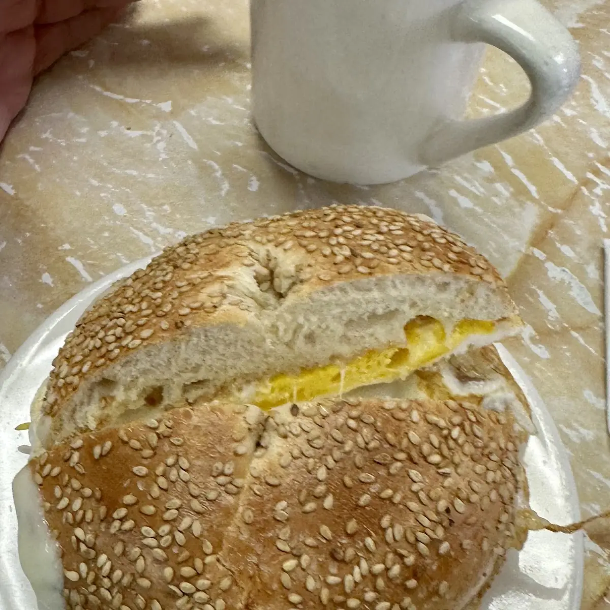 Egg on Sesame Bagel