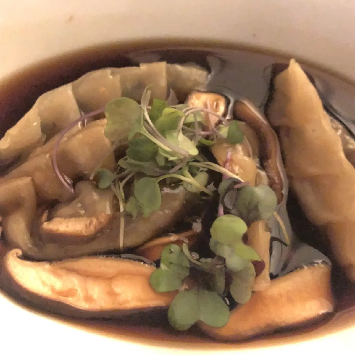 Wagyu Dumplings