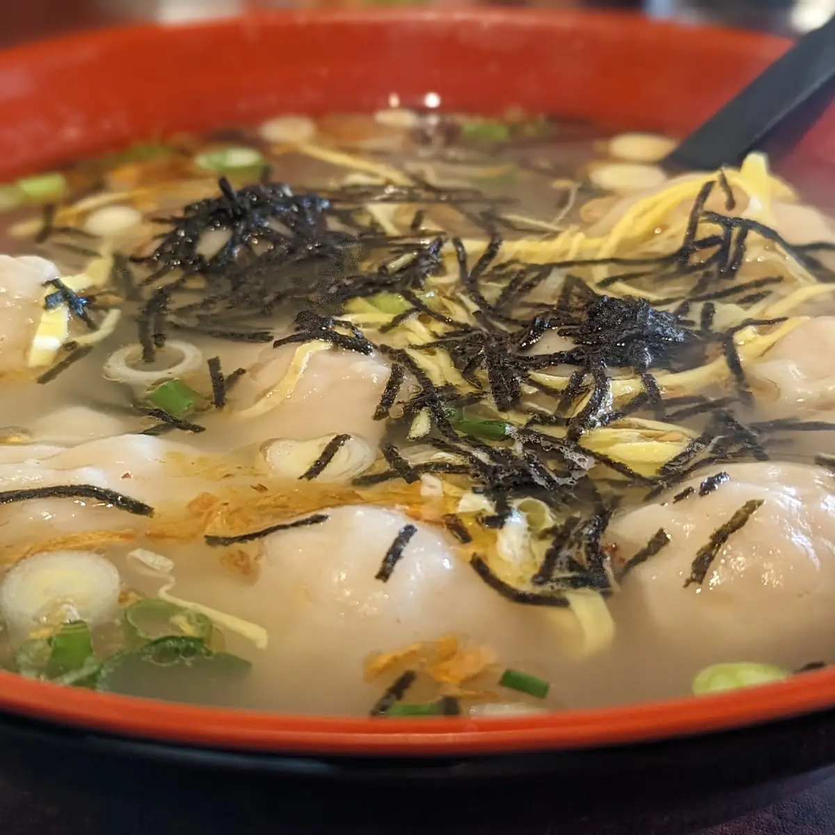 Wonton Soup