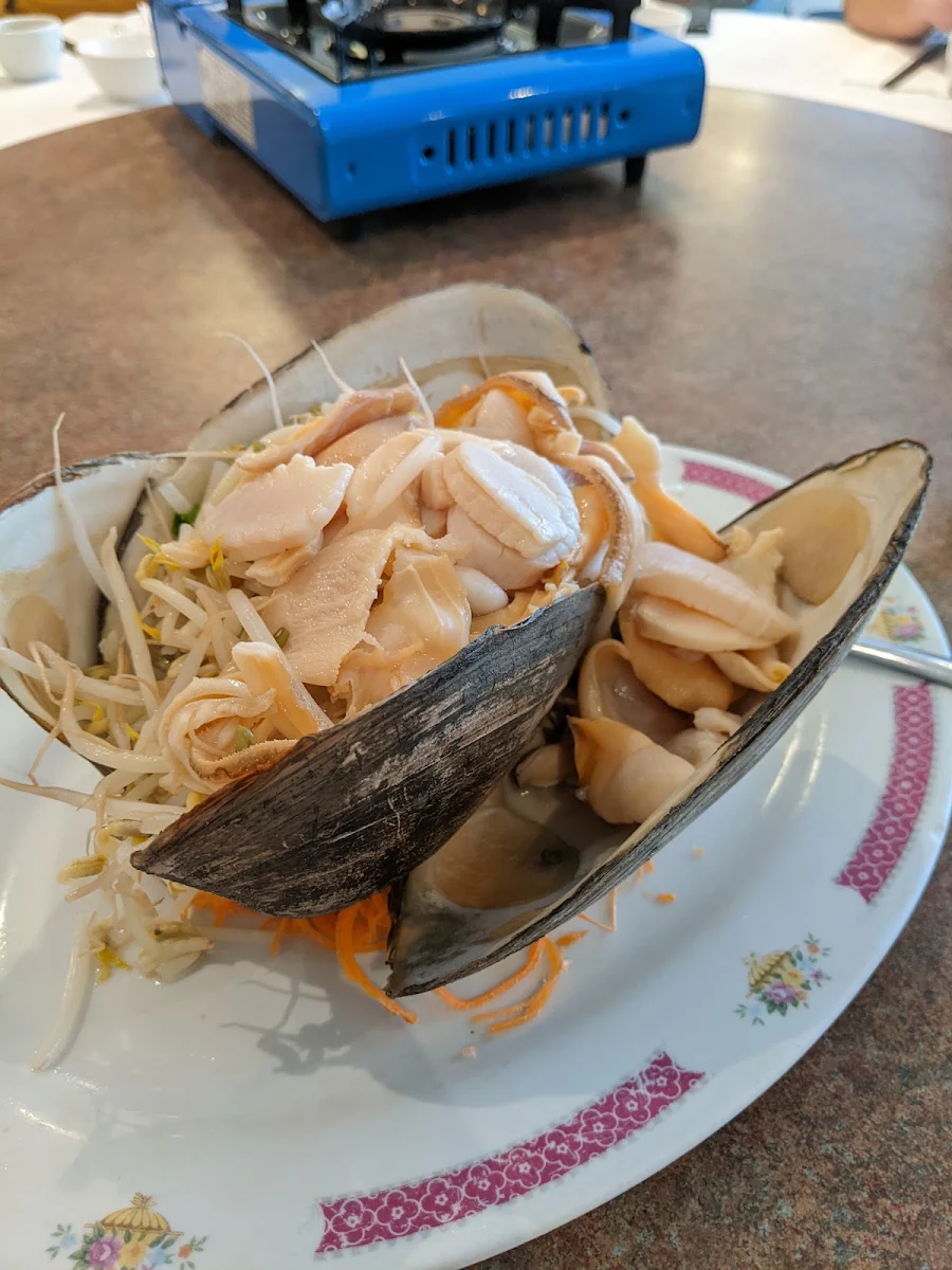 Giant Clams, Maison Sai Yan