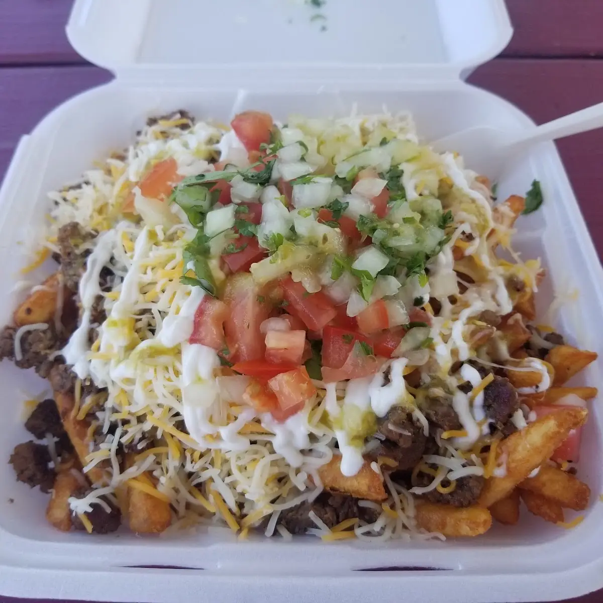 Papas Con Asada Asada Fries