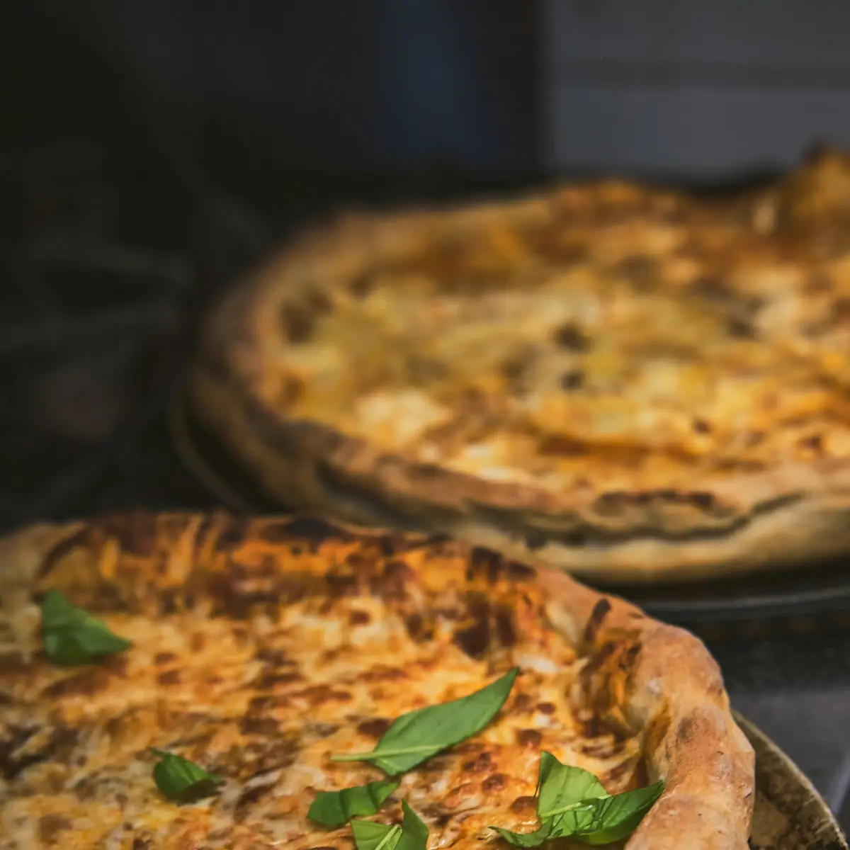 Highlights, Bistro du Pinacle